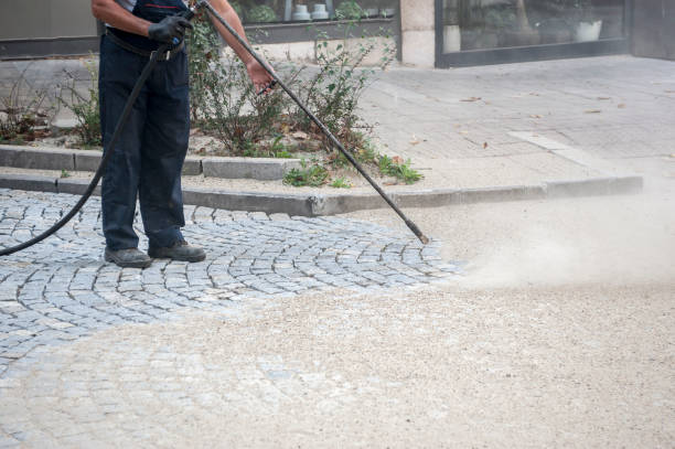 Best Sidewalk and Walkway Cleaning  in Crystal River, FL